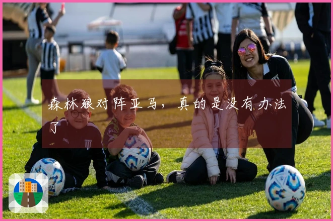 森林狼对阵亚马，真的是没有办法了